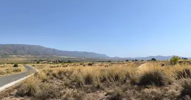 Apartment in el Pinos Pinoso, Spain