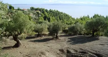 Plot of land in Municipality of Sithonia, Greece