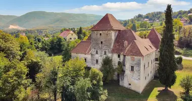 Château dans Sentjernej, Slovénie