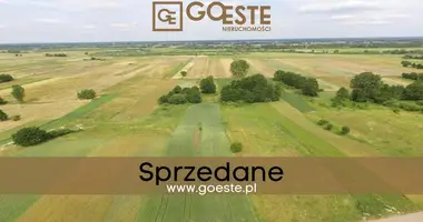 Terrain dans Smolice, Pologne