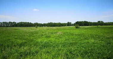 Terrain dans Sharurah, Arabie saoudite