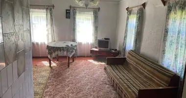 Haus in Babinicki sielski Saviet, Belarus