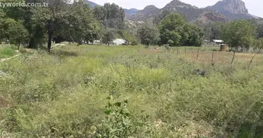 Działka w Igdir, Turcja