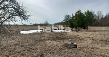 Grundstückin Ridzene, Lettland