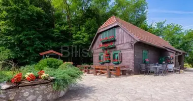 5 room house in Novaki, Croatia