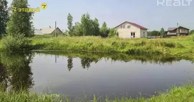 House in Borovskoy selskiy Sovet, Belarus