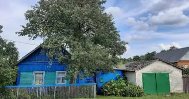 House in Homyel, Belarus