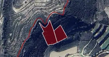 Appartement dans Vassa, Chypre