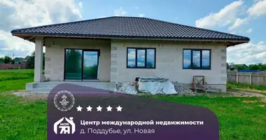 Cottage in Zodzinski sielski Saviet, Belarus