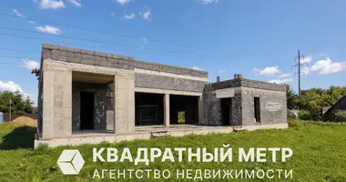 Дом в Ждановичский сельский Совет, Беларусь