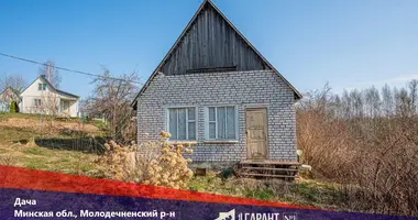 Haus in Krasnienski sielski Saviet, Belarus