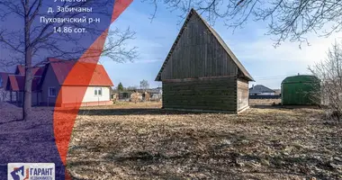 Grundstück in Piarezyrski sielski Saviet, Belarus