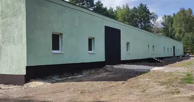 Producción 1 174 m² en Stankauski sielski Saviet, Belarús