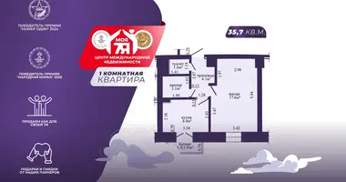 1 room apartment in Minsk, Belarus