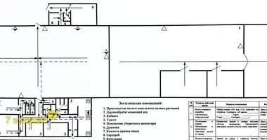 Zakład produkcyjny 1 262 m² w Nawasiełle, Białoruś