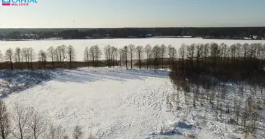 Terrain dans Grutas, Lituanie