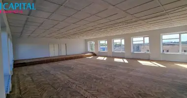 Коммерческое помещение 171 м² в Пасвалис, Литва