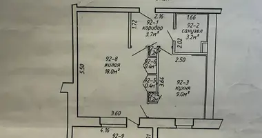 1 room apartment in Minsk, Belarus