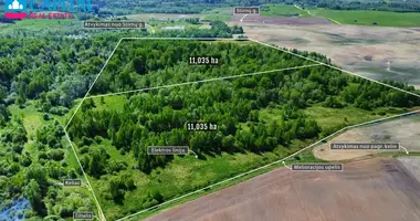 Plot of land in Vilniaus rajono savivaldybe, Lithuania