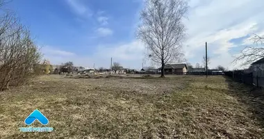 Terrain dans Kozienski sielski Saviet, Bélarus