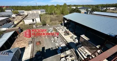 Zakład produkcyjny 2 300 m² w Nowa Hoża, Białoruś