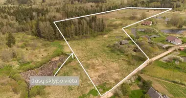 Plot of land in Bezdoniai Eldership, Lithuania