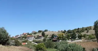 Terrain dans Paliouri, Grèce
