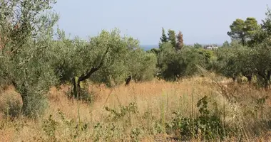 Участок земли в Municipality of Sithonia, Греция