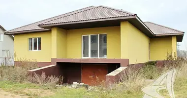 House in Cerninski sielski Saviet, Belarus