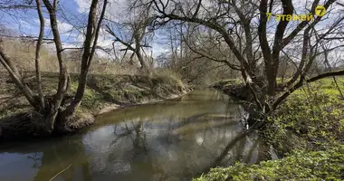 Участок земли в Демидовичский сельский Совет, Беларусь