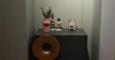 1 bedroom apartment in Tbilisi, Georgia