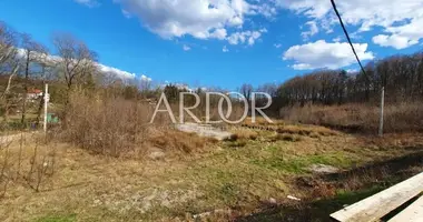 Terrain dans Opcina Jelenje, Croatie