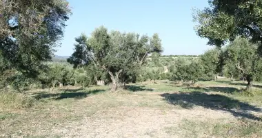 Terrain dans Kalandra, Grèce