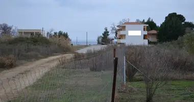 Terrain dans Gerakini, Grèce