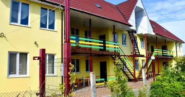 Gewerbefläche 250 m² in Satoka, Ukraine