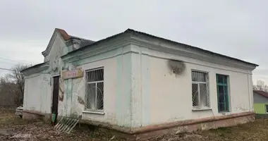 Sklep 159 m² w Rakauski sielski Saviet, Białoruś