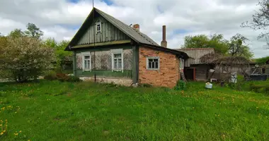 Dom w Cyzevicki sielski Saviet, Białoruś