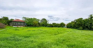 Дом в Мир, Беларусь