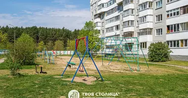 3 bedroom apartment in Minsk, Belarus