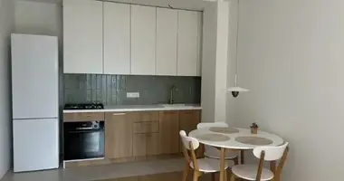1 bedroom apartment in Tbilisi, Georgia