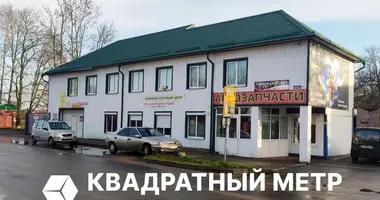Commercial property 525 m² in Smilavichy, Belarus