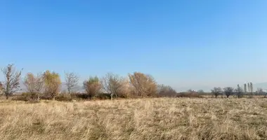 Parcela en Mukhrani, Georgia