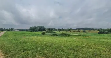 Участок земли в Alytus, Литва