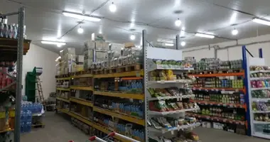 Propriété commerciale 263 m² dans Odessa, Ukraine