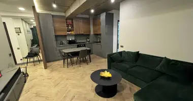 2 bedroom apartment in Tbilisi, Georgia