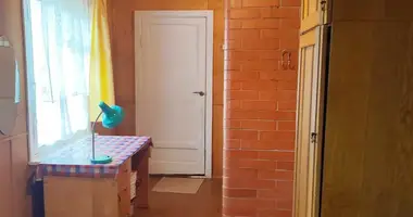 House in Rakauski sielski Saviet, Belarus
