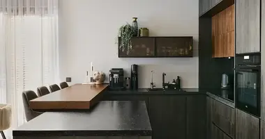 Haus in Schlengen, Litauen