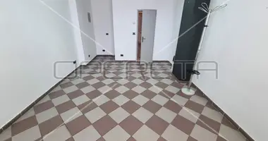 Propriété commerciale 22 m² dans Ville de Zagreb, Croatie