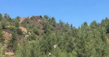 Apartment in Kato Platres, Cyprus