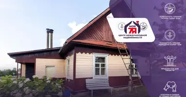 Дом в Заболотье, Беларусь